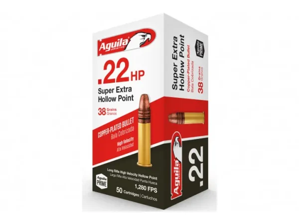 22LR Ammo